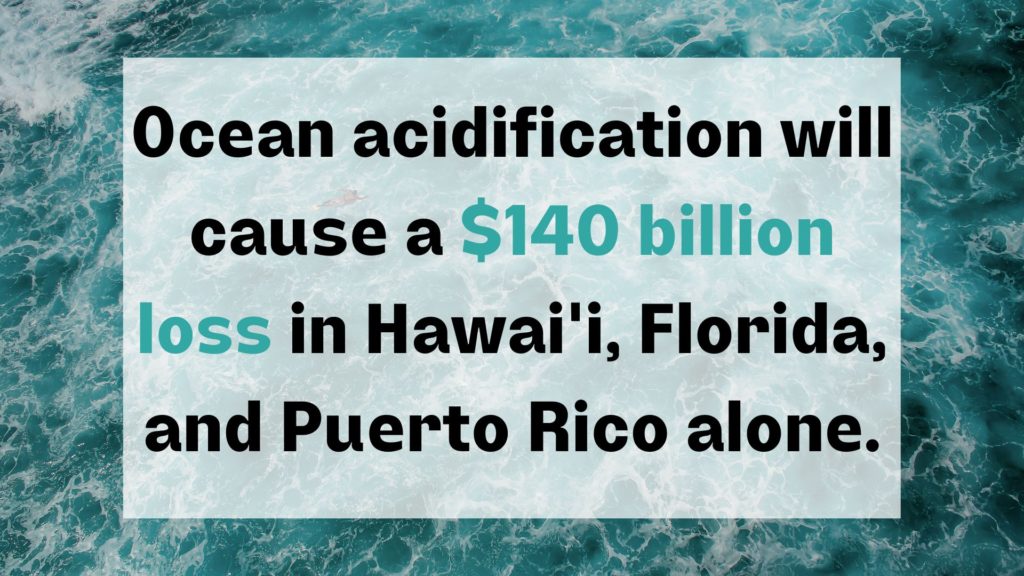 facts about ocean acidification
