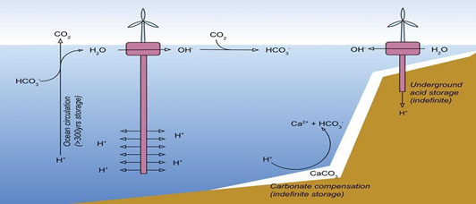 ocean acidification infographic - carbon pumping