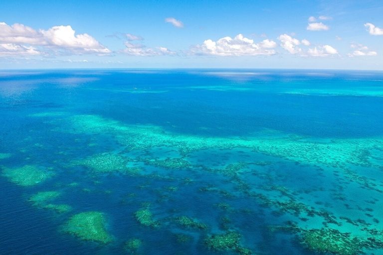 The Great Barrier Reef Is in Danger, UNESCO Scientists Explain | Ocean ...