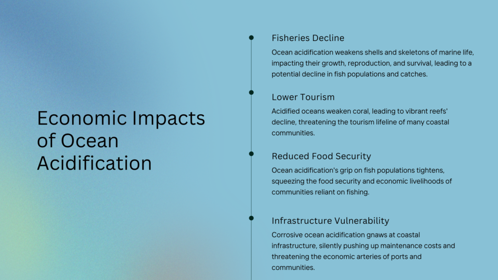 effects of ocean acidification on economy summary
